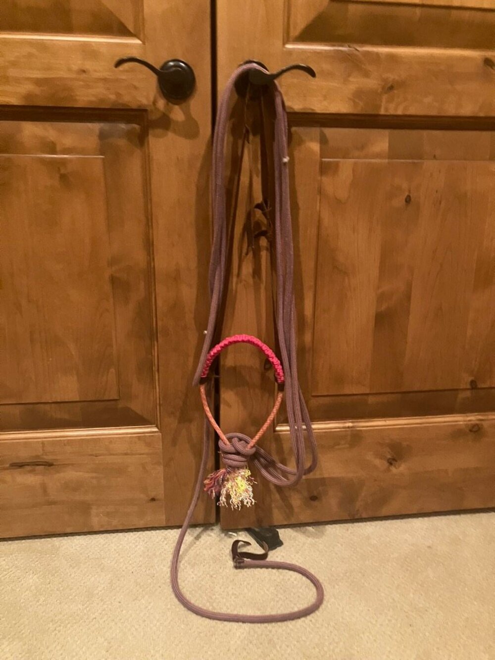 Pink loping hack with mecate and hanger